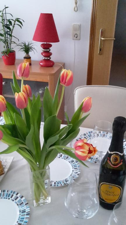 Apartament Maristela Rovinj Zewnętrze zdjęcie