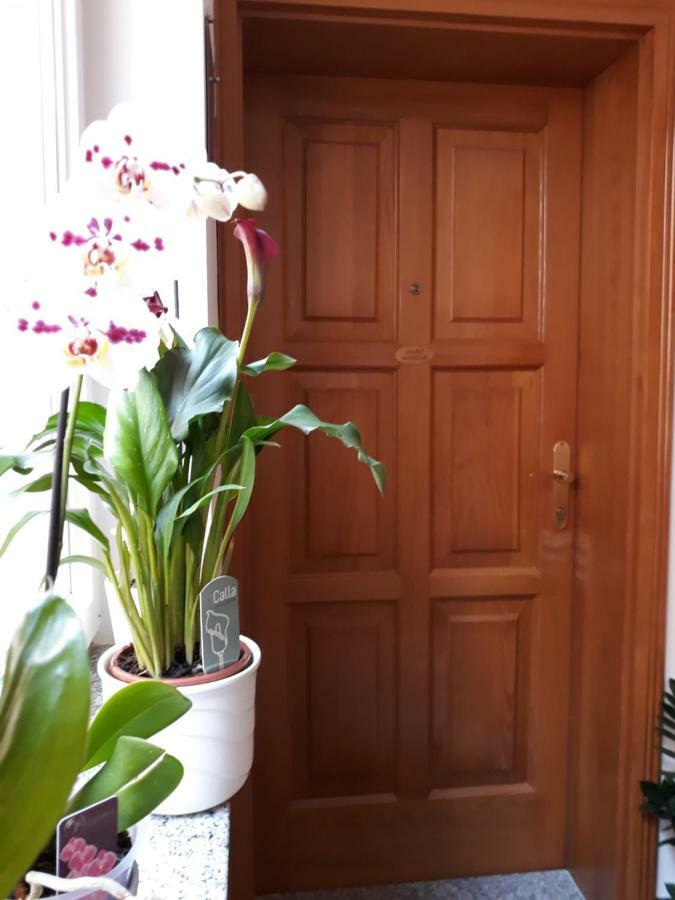 Apartament Maristela Rovinj Zewnętrze zdjęcie