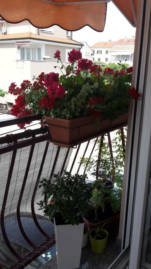 Apartament Maristela Rovinj Zewnętrze zdjęcie